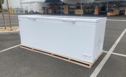 NSF Commercial Huge Chest Freezer 35 cu ft BD1050